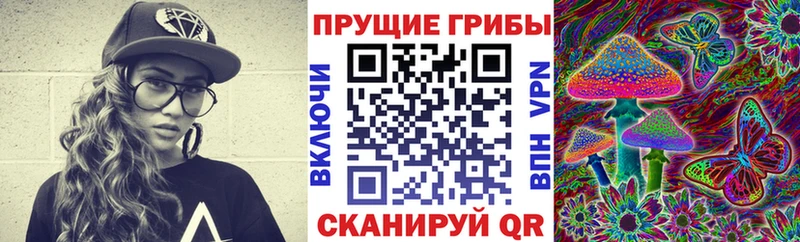 Галлюциногенные грибы MAGIC MUSHROOMS  МЕГА онион  Рязань 